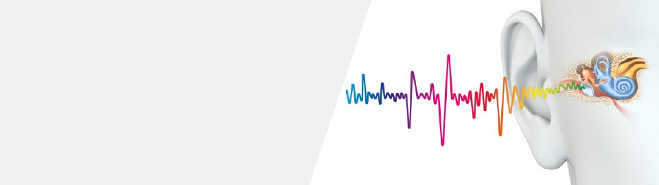colourful sound wave entering ear. Ear anatomy displayed