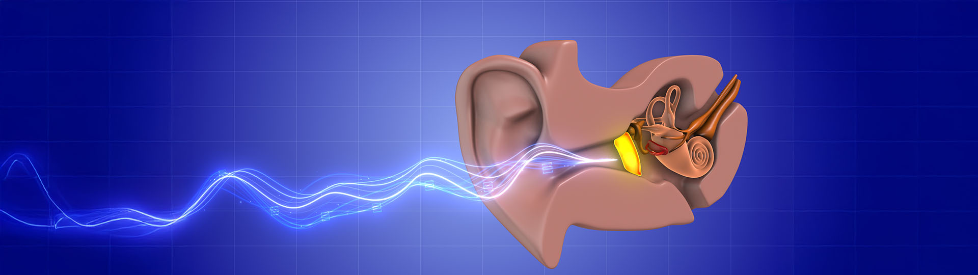 which test distinguishes between conductive and sensorineural hearing losses