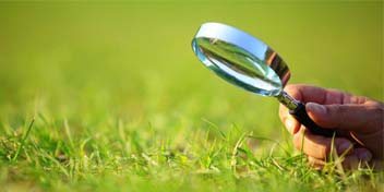 magnifying glass held over vibrant green grass