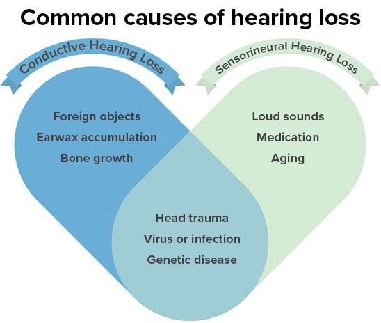 Common causes of hearing loss including conductive hearing loss (foreign objects, earwax accumulation, bone growth), sensorineural hearing loss (loud sounds, medication, aging), and combination causes such as head trauma, virus or infection, and genetic disease.