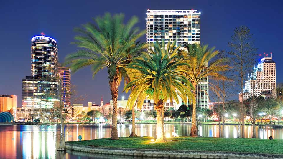 orlando buildings and palm trees at night