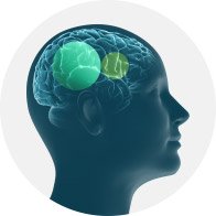 image shows brainhearing