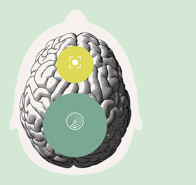 Diagram detailing brain areas involved in auditory processing and concentration.